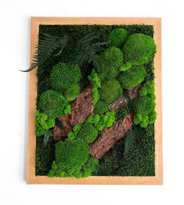 Tablou pereți verzi 50×40 cm din licheni stabilizați premium