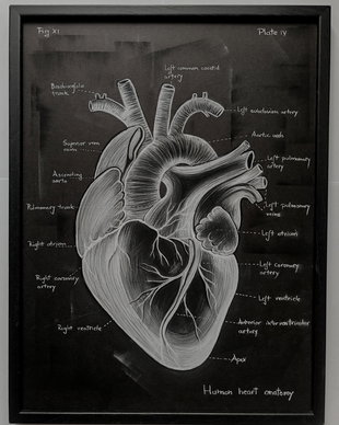 Tablou Anatomia Inimii