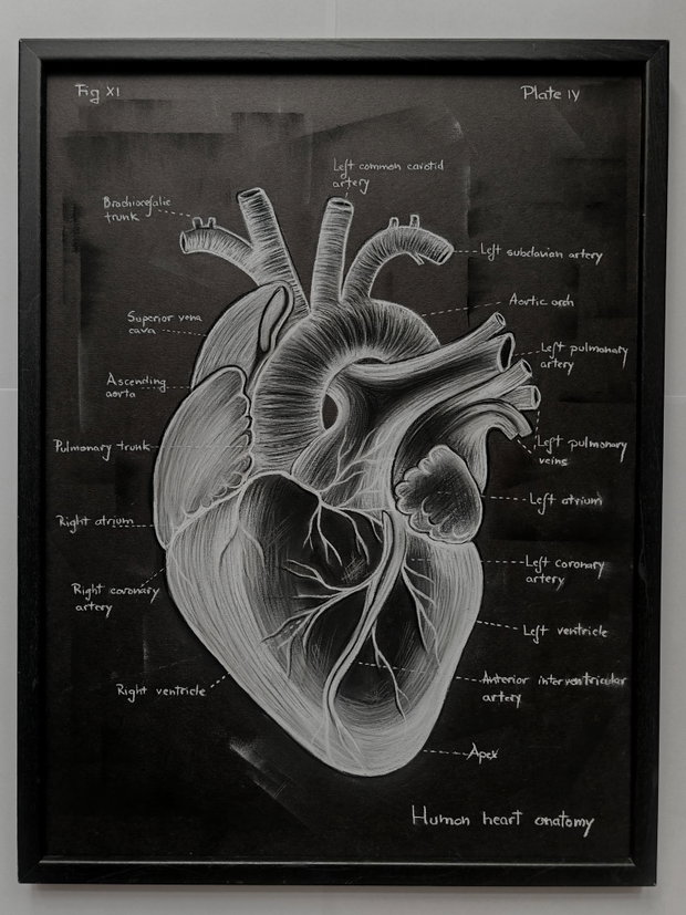 Tablou Anatomia Inimii
