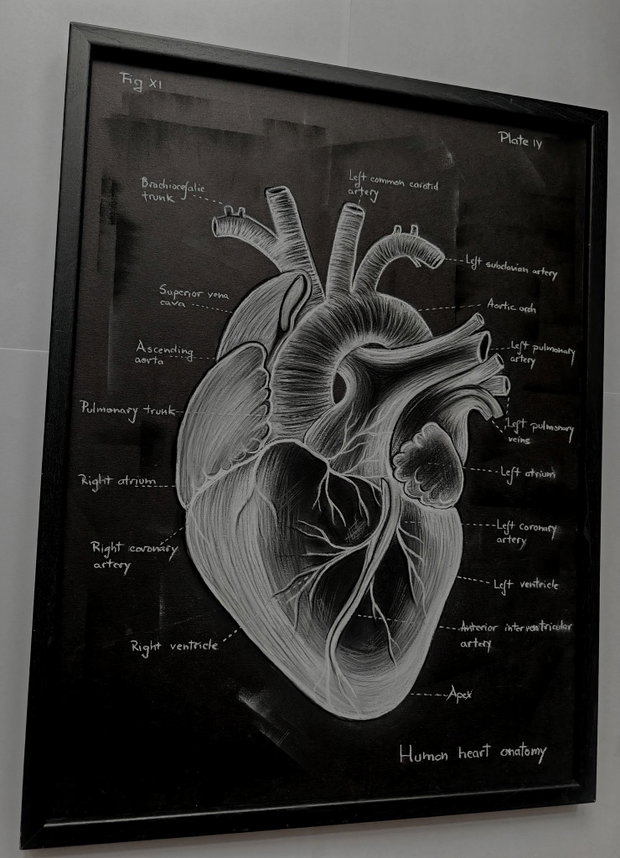 Tablou Anatomia Inimii