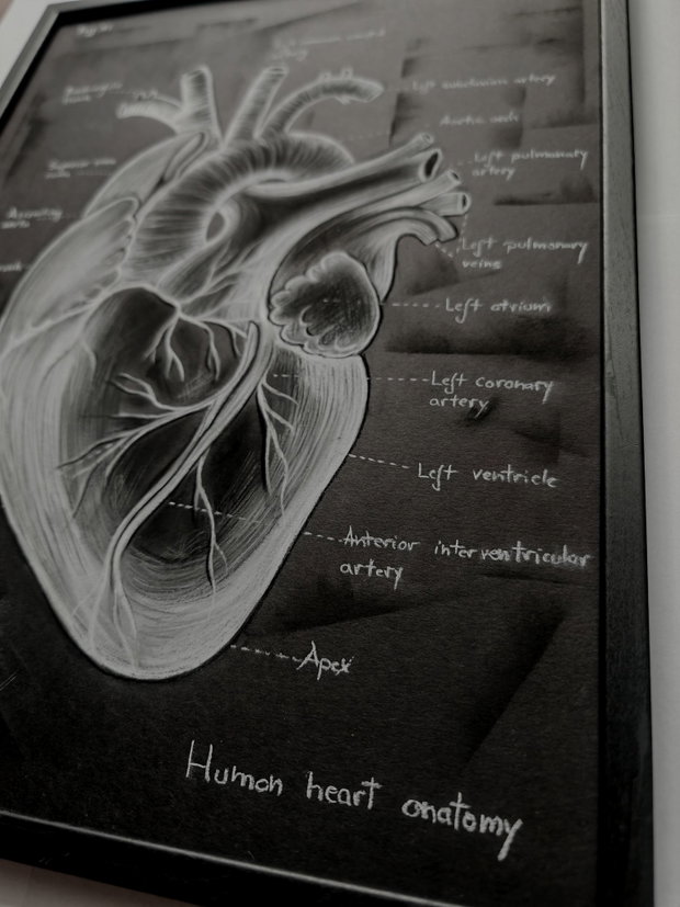 Tablou Anatomia Inimii