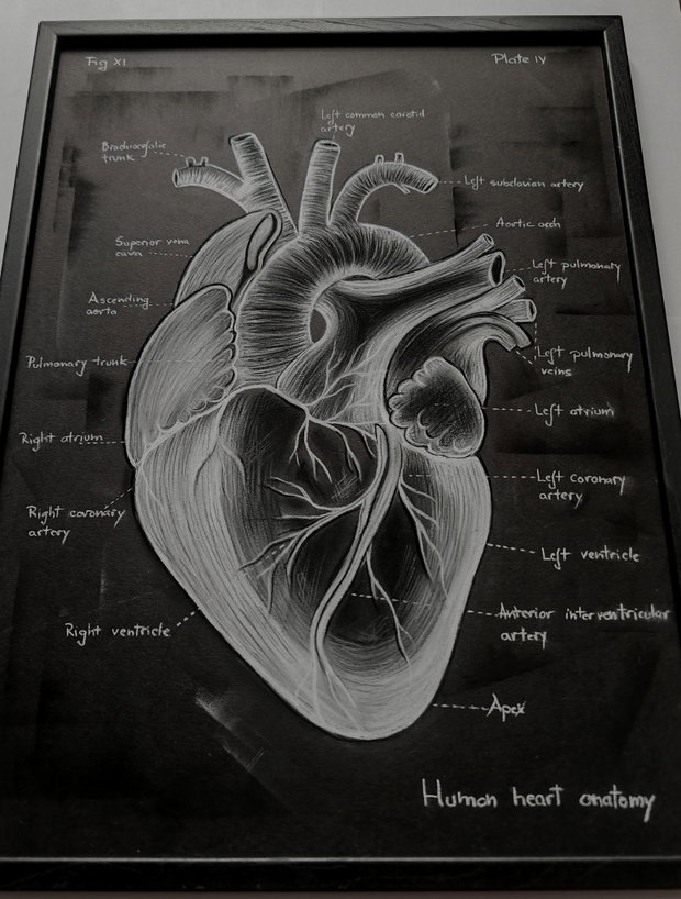 Tablou Anatomia Inimii