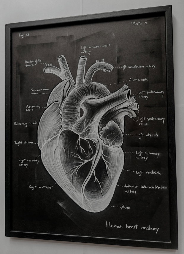 Tablou Anatomia Inimii