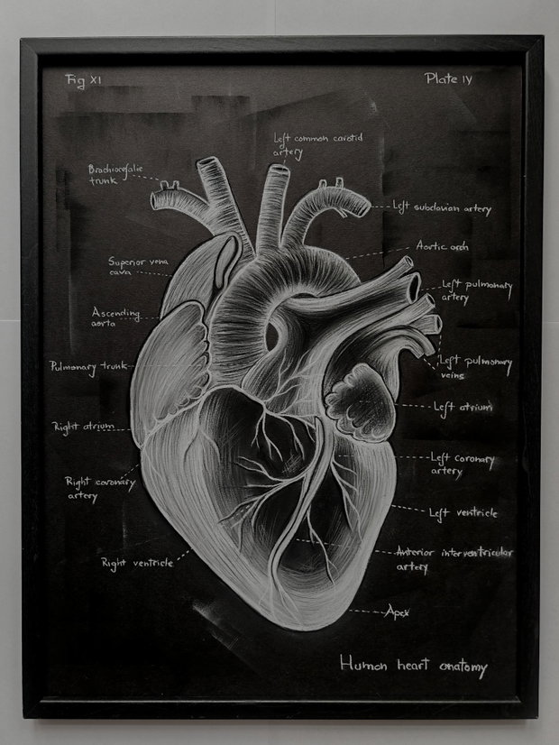 Tablou Anatomia Inimii