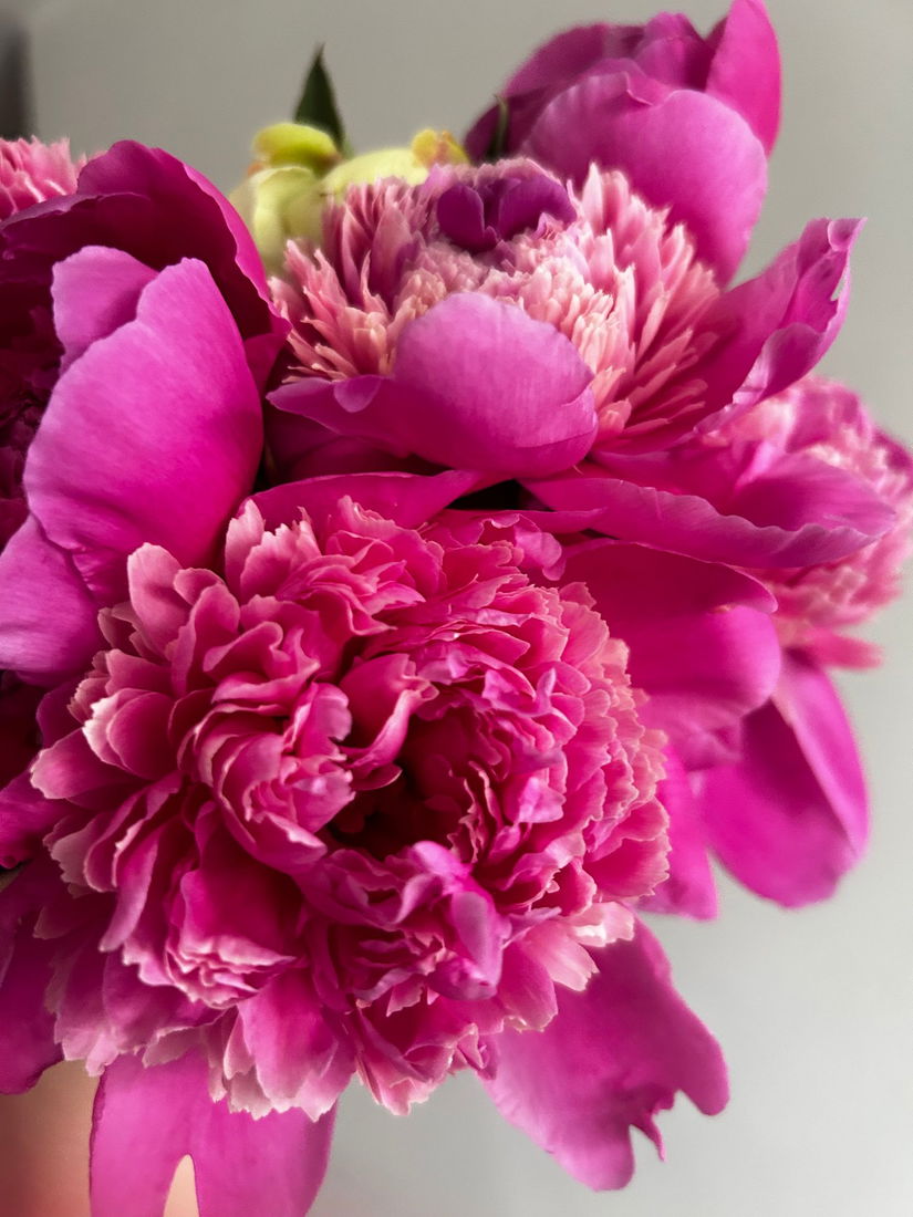 Buchet de facut cadou