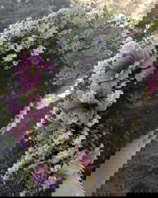 Coronite copii sau domnsioare de onoare
