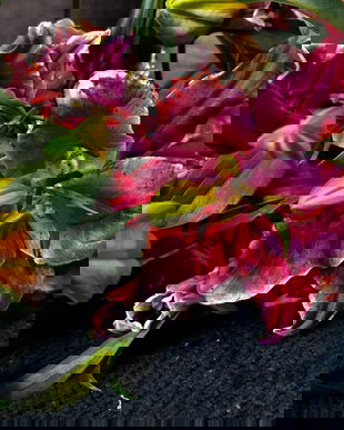 Flori la fir (minim 3, 5 sau 7 fire in functie de tipul florii)