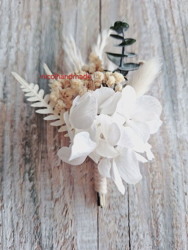 Cocarda hortensia alba