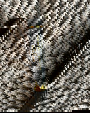 Rimel MAX factor NOU