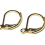 Tortite cercei din inox, aurii, 15x10 mm