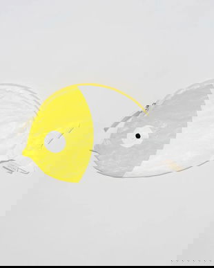 SunnyLife geantă de plajă pentru copii Finn the Fish Neon Yellow culoarea galben