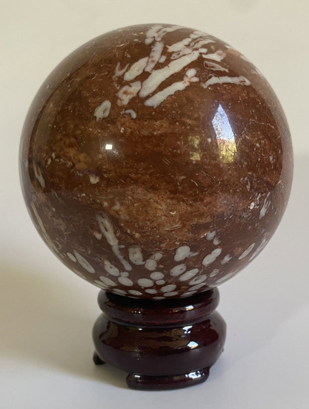 Coral Fosilizat - Sfera piatra semipretioasa