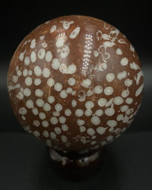 Coral Fosilizat - Sfera piatra semipretioasa