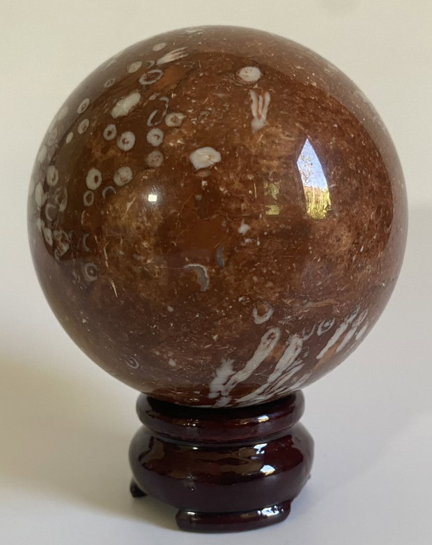 Coral Fosilizat - Sfera piatra semipretioasa