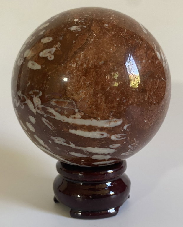 Coral Fosilizat - Sfera piatra semipretioasa