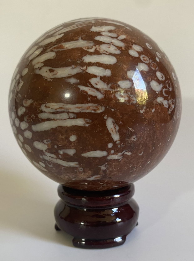 Coral Fosilizat - Sfera piatra semipretioasa