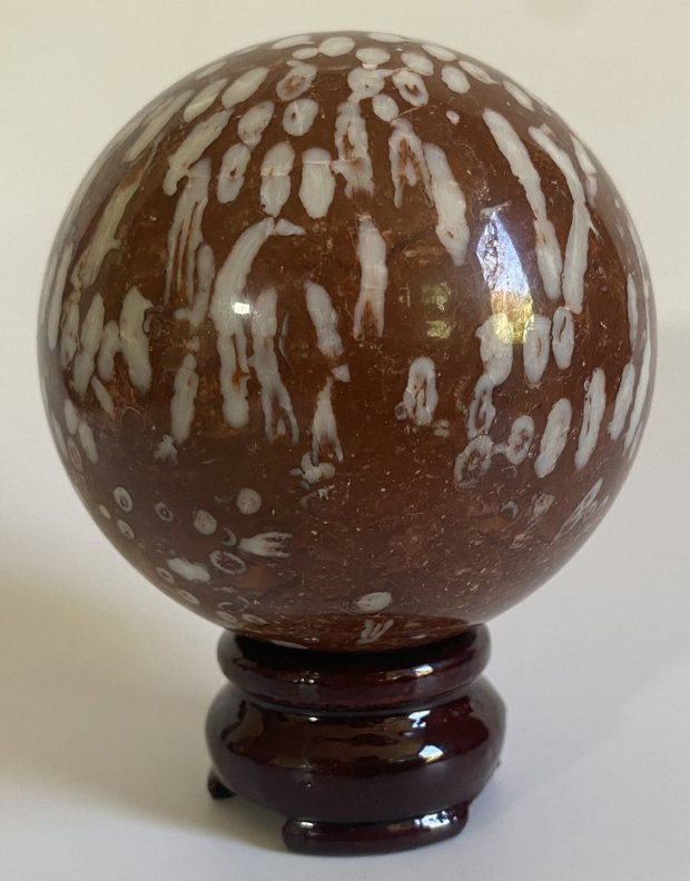 Coral Fosilizat - Sfera piatra semipretioasa