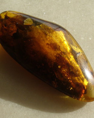 Chihlimbar Lituania - aprox 13x25.5x55.5 mm