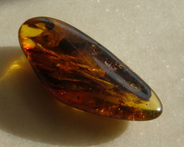Chihlimbar Lituania - aprox 13x25.5x55.5 mm