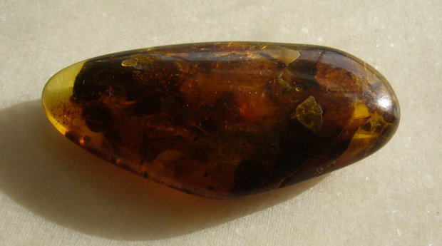 Chihlimbar Lituania - aprox 13x25.5x55.5 mm