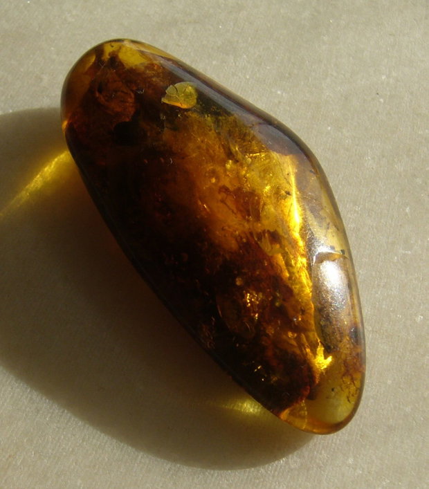 Chihlimbar Lituania - aprox 13x25.5x55.5 mm