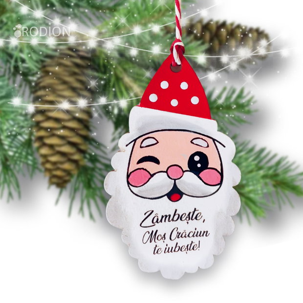 Glob Mos Craciun pictat manual cu mesaj decoratiune handmade