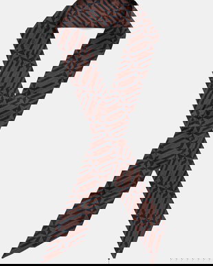 Lanvin eșarfă de mătase culoarea maro, cu imprimeu, 710004328