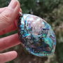 Pandant scoica abalone