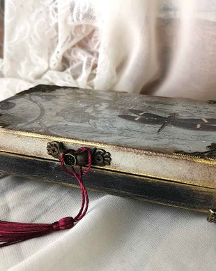 Caseta pentru bijuterii - Misterul libelulei