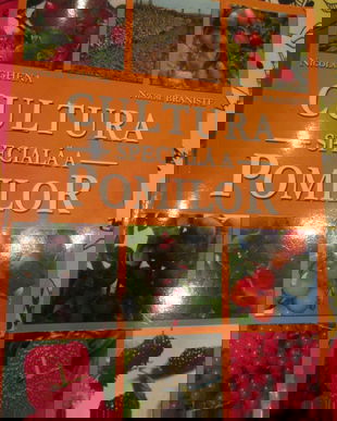 2003 Cultura speciala a pomilor