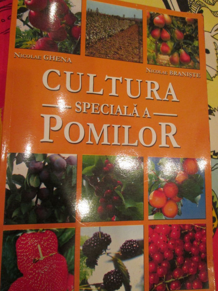 2003 Cultura speciala a pomilor