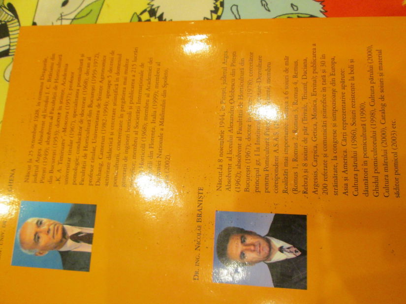 2003 Cultura speciala a pomilor