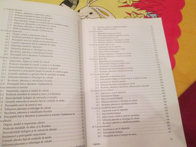 2003 Cultura speciala a pomilor