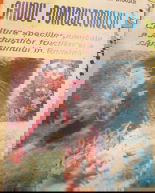 1999 Ghidul pomicultorului