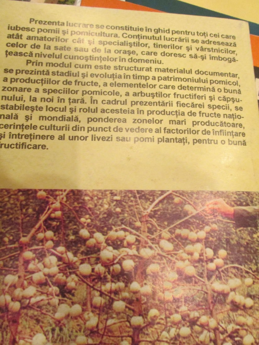 1999 Ghidul pomicultorului