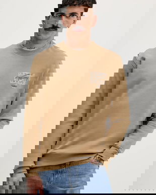 Tommy Jeans hanorac de bumbac culoarea maro, cu imprimeu, DM0DM22366