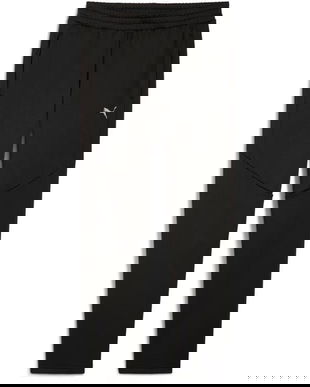 Pantaloni barbati Puma Evostripe Warm Pants 68823901, M, Negru