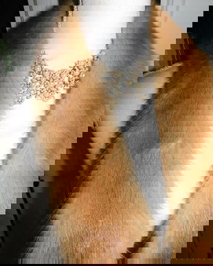 Sal   dublu  nurca  aurie ,  deosebit , neutilizat, colier cadou