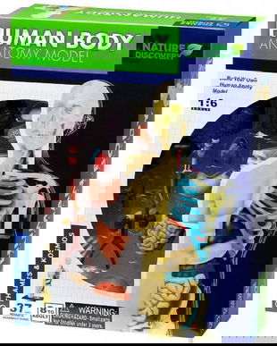 Set educativ Stem: Anatomia corpului