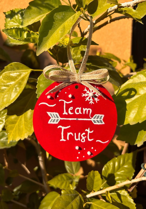 Ornament pentru un coleg/ colega, cadou Craciun, echipa, incredere