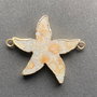 LCN24 - conector stea coral fosil