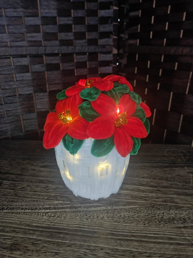 Decor - "Craciunita in ghiveci"