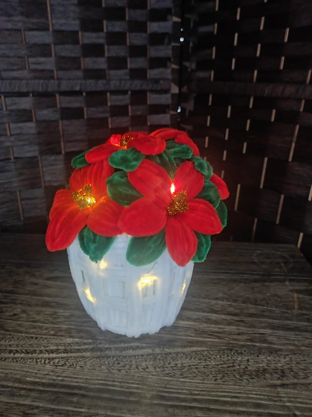 Decor - "Craciunita in ghiveci"