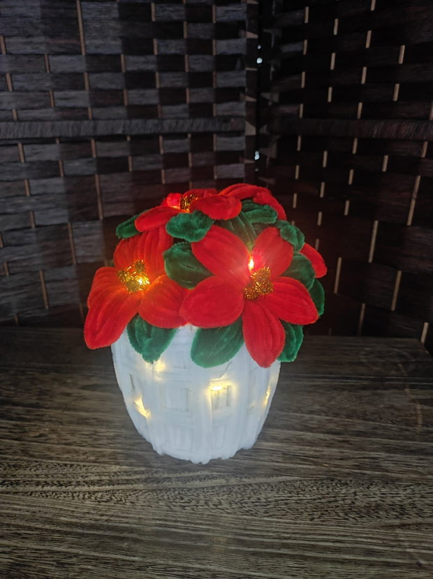 Decor - "Craciunita in ghiveci"