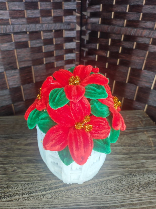 Decor - "Craciunita in ghiveci"