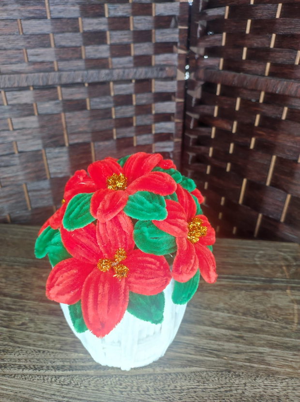 Decor - "Craciunita in ghiveci"