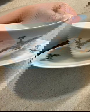 Sosiera superbă Bavaria