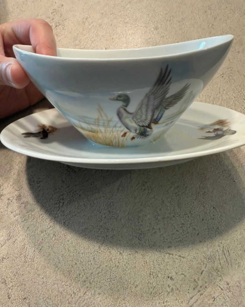 Sosiera superbă Bavaria