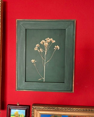 Tablou cu planta presata