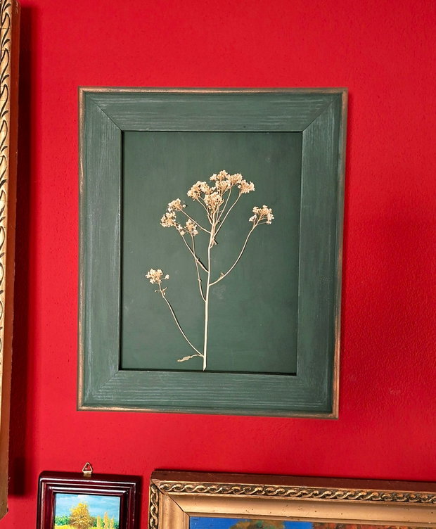 Tablou cu planta presata